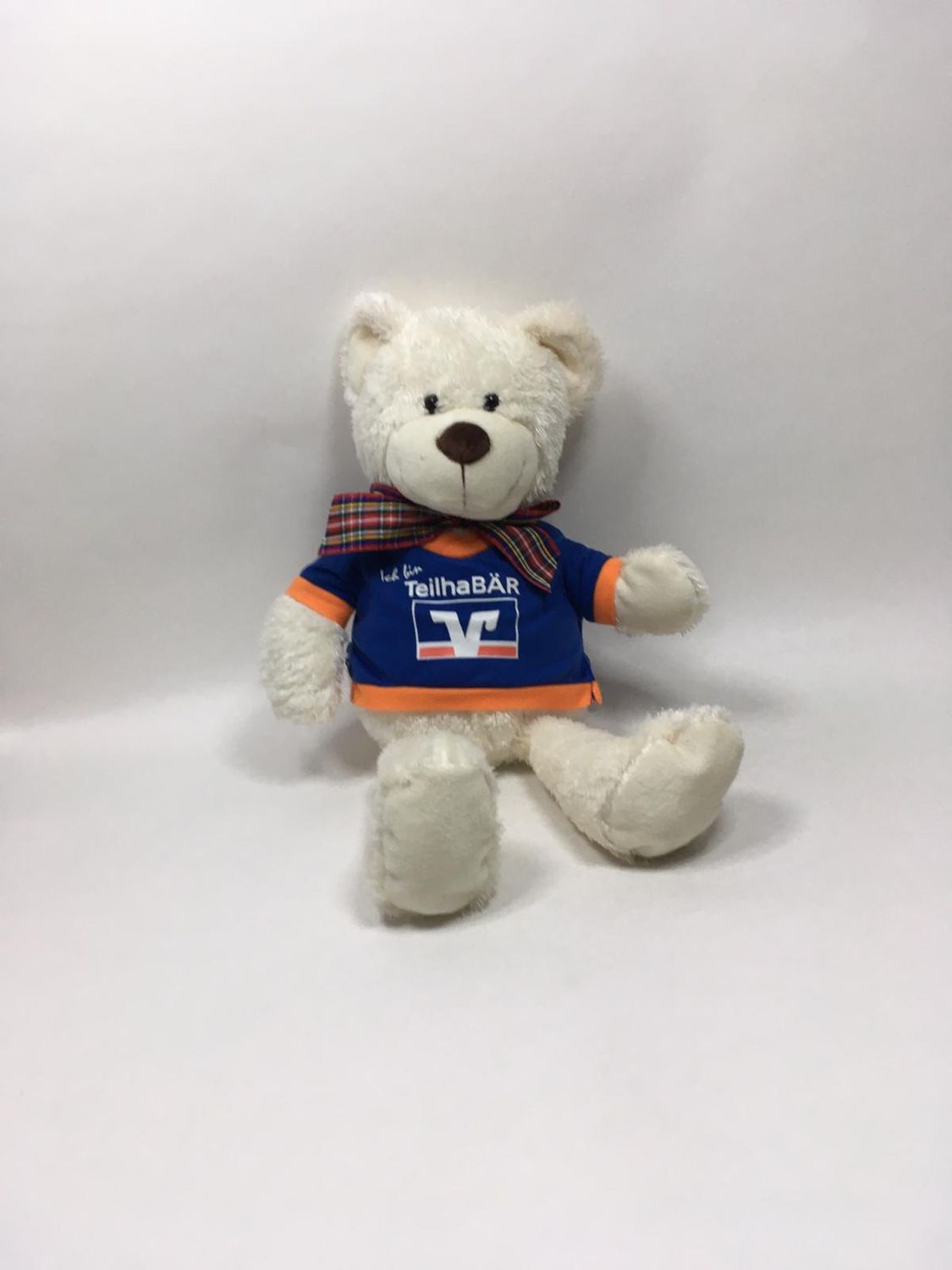 Teddy Sunkid stehend 48 cm selten