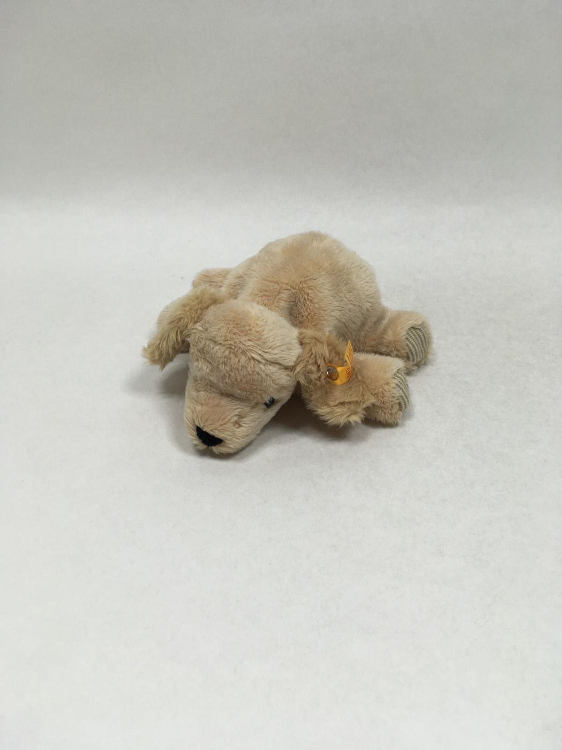 Steiff Hund 281297 Lumpi Golden Retriever mit Knopf und Fahne liegend 18 cm Sammlerstück