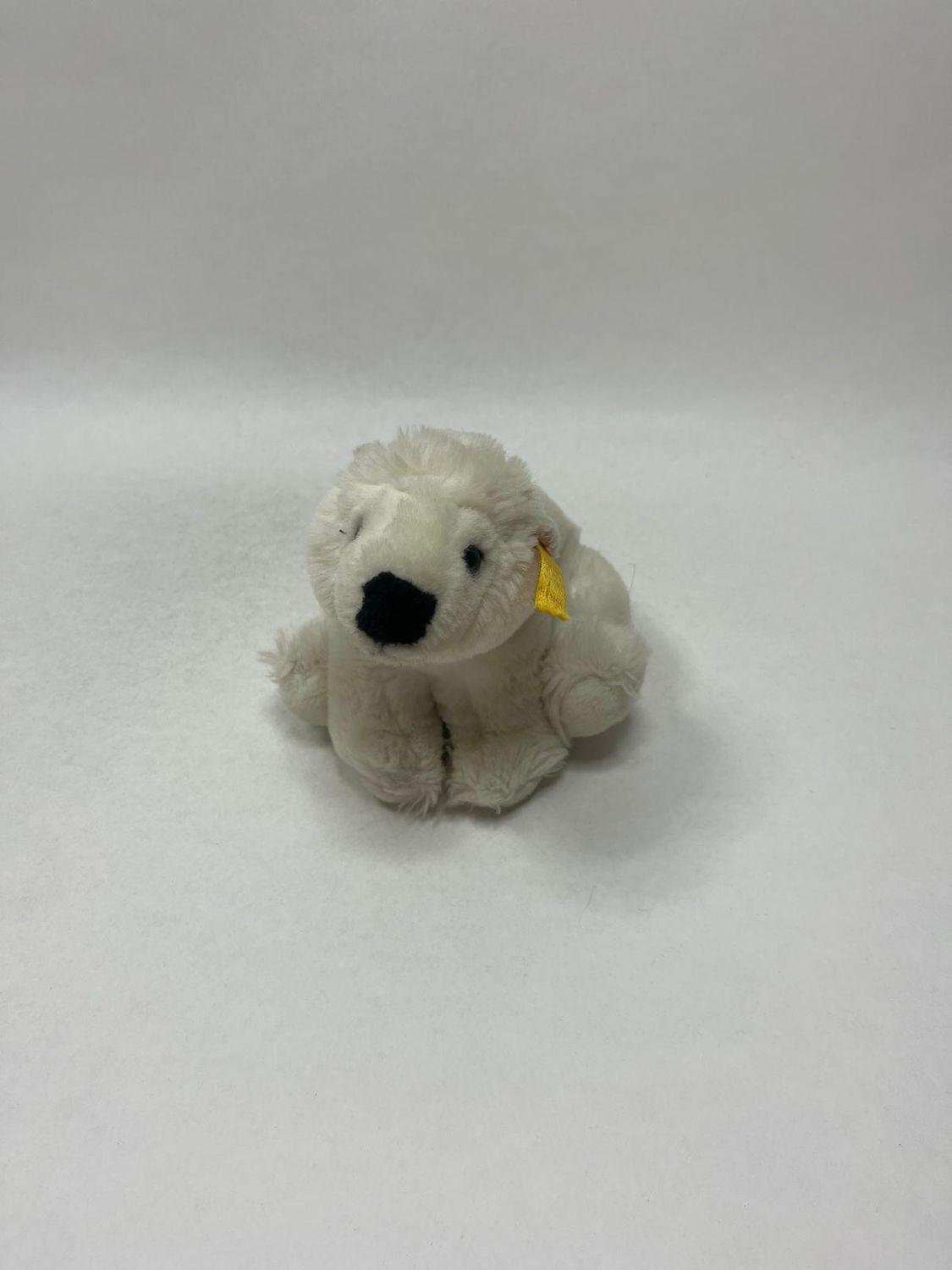 Steiff Eisbär Knut mit Knopf und Fahne ( nicht lesbar ) sitzend 15 cm selten