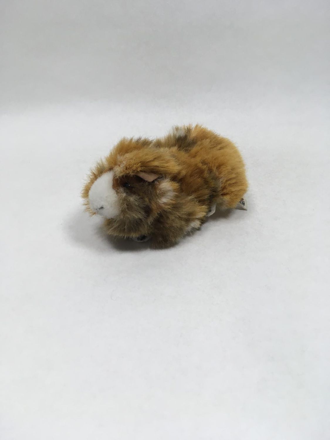 Meerschweinchen Kösen liegend 18 cm selten