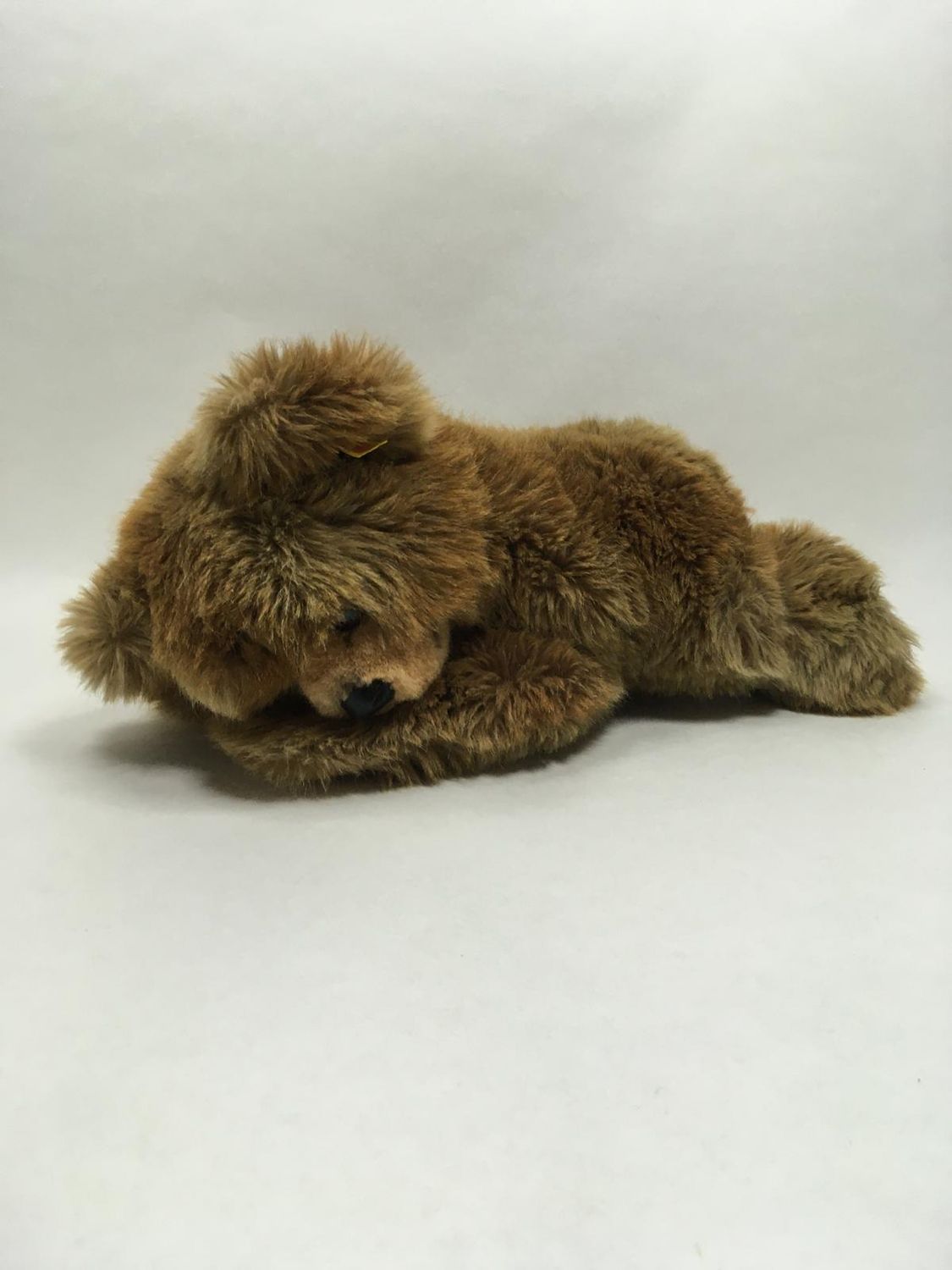 Steiff Teddy Molly 0341/40 mit Knopf und Fahne liegend 40 cm Sammlerstück