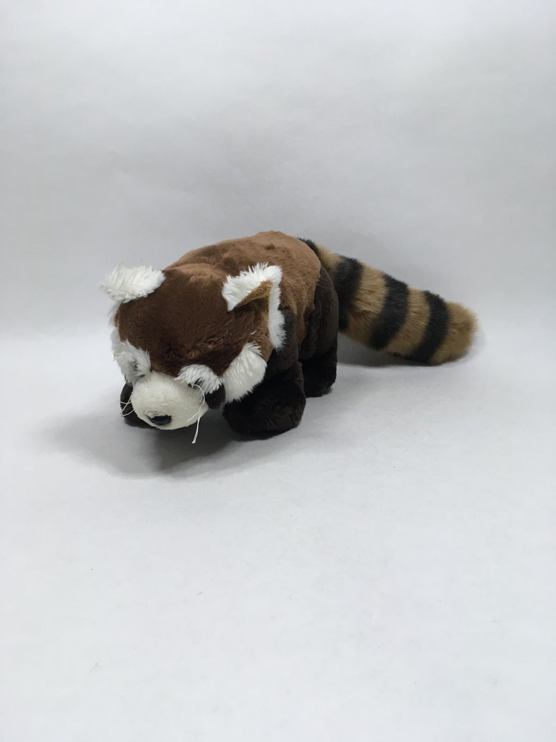 Roter Panda Ravensden Rushden stehend 60 cm Rarität