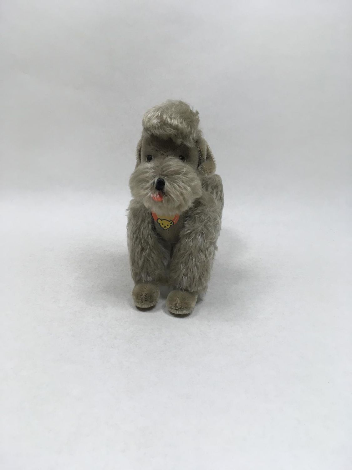 Steiff Hund Pudel Snobby 5322 mit Knopf, Fahne und Brustschild stehend 23 cm Vintage Mega Sammlerstück und Rarität