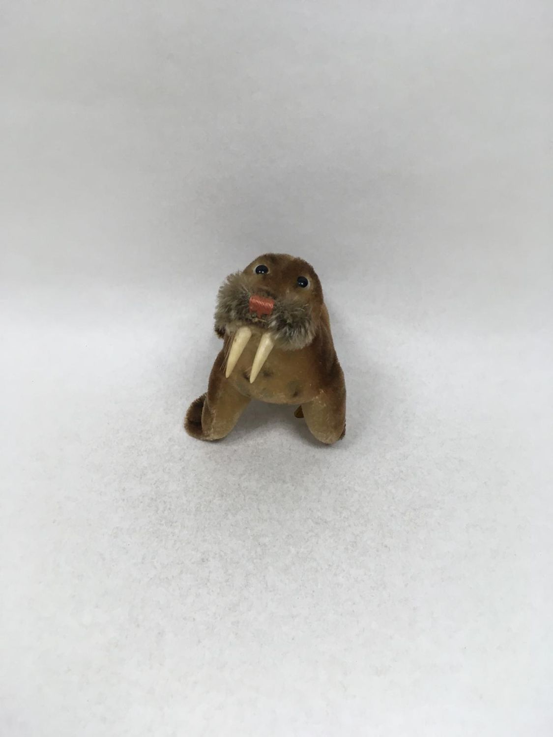 Steiff Walross Paddy 4314.00 mit Knopf und Fahne liegend 18 cm Vintage Sammlerstück