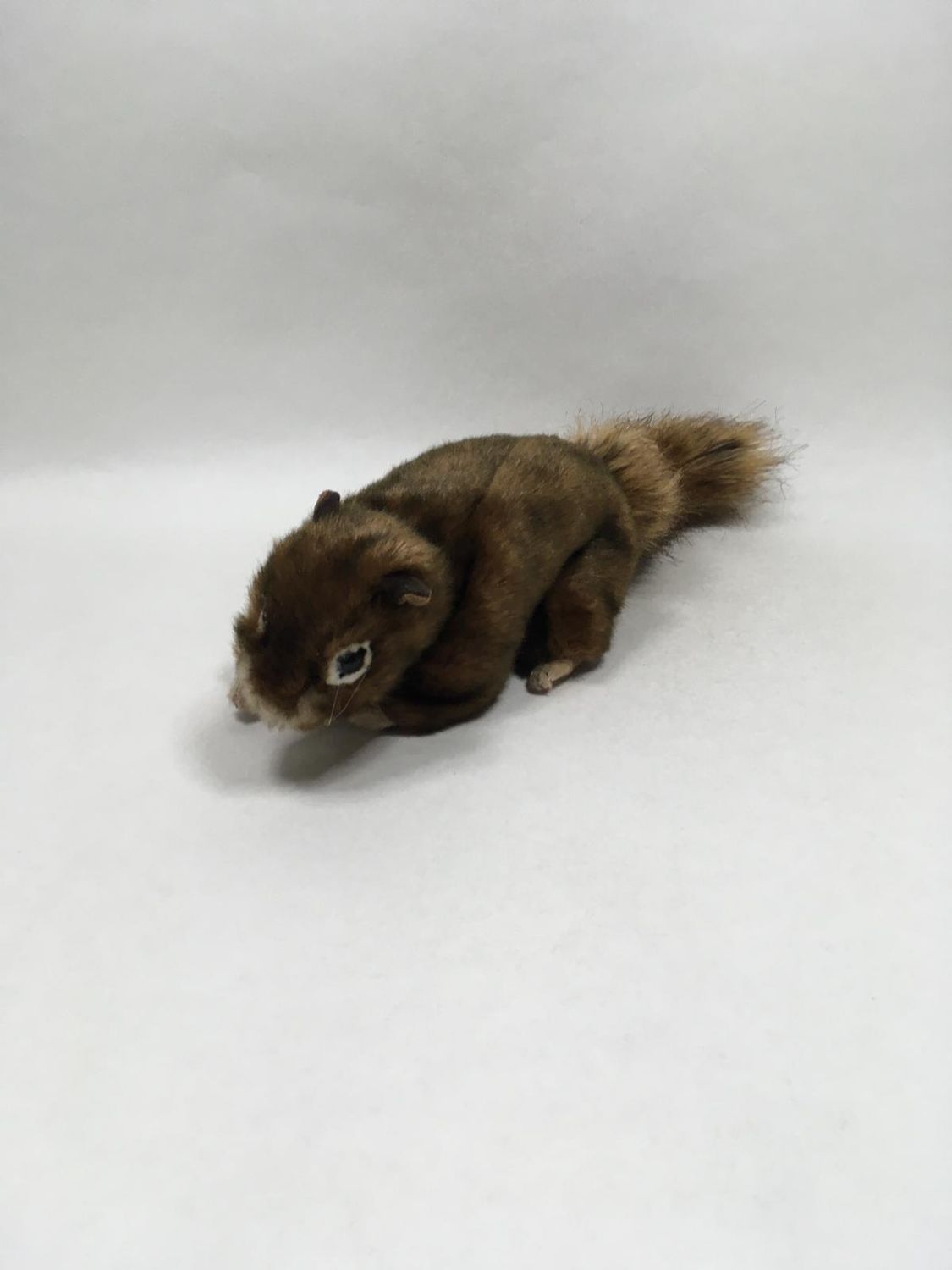 Eichhörnchen Handpuppe Folkmanis stehend 50 cm selten