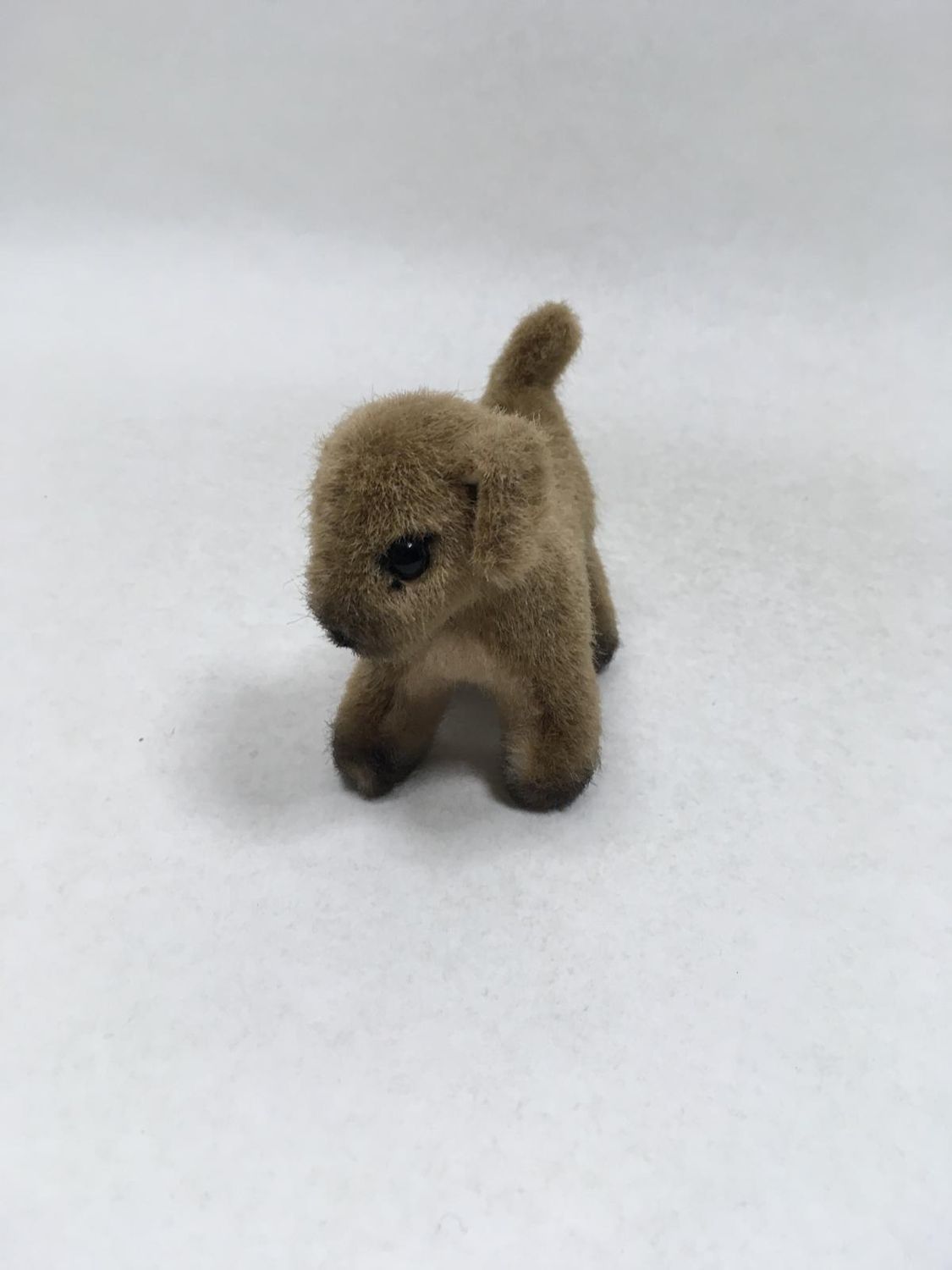 Hund Kösen stehend 20 cm Mega Rarität