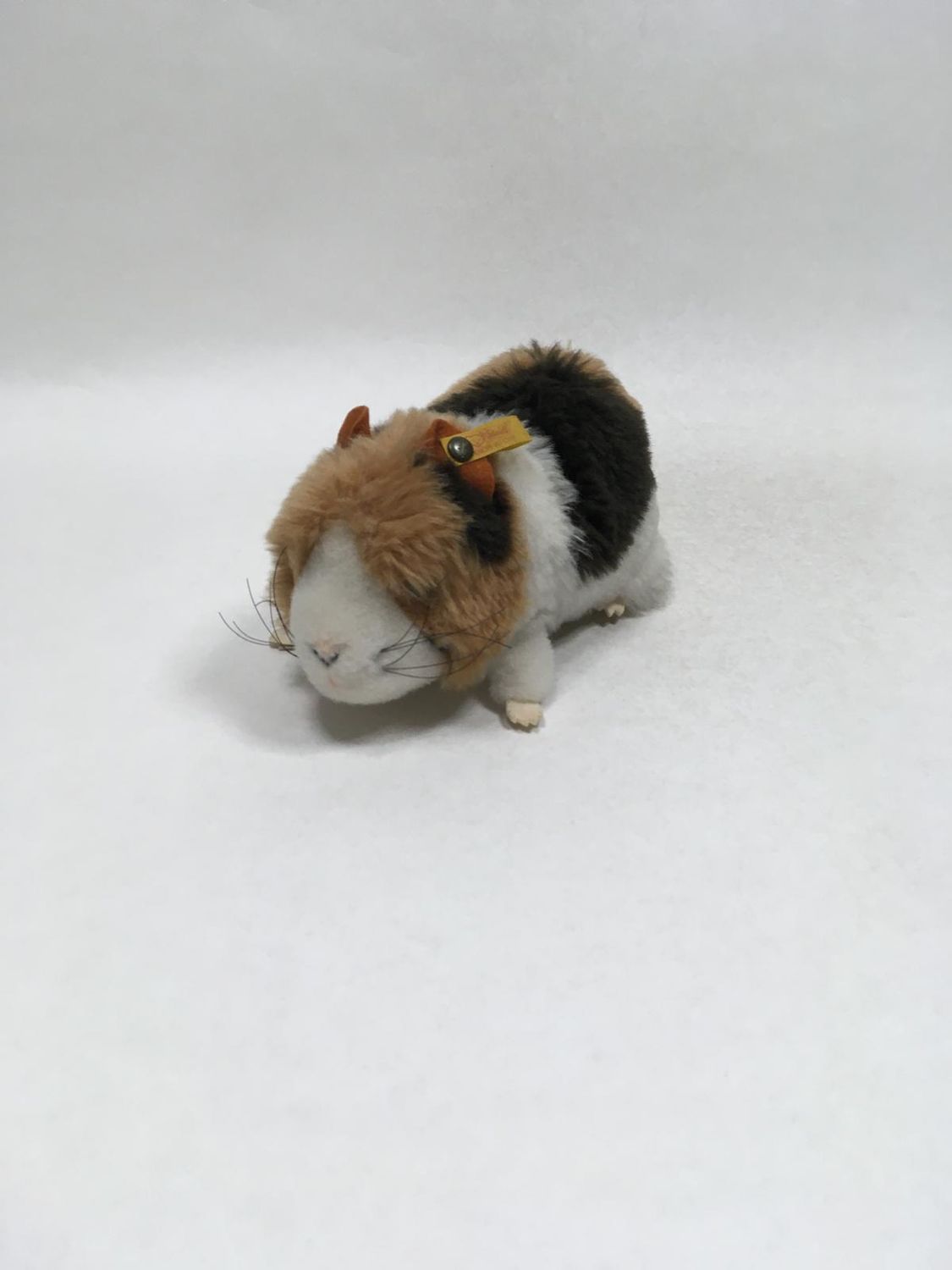 Steiff Meerschweinchen mit Knopf und Fahne ( nicht lesbar ) liegend 20 cm Sammlerstück