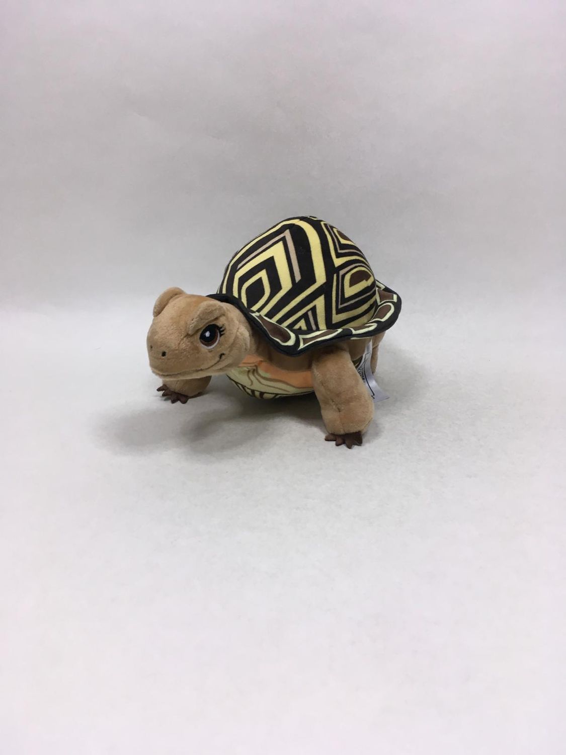 Schildkröte Henrietta Die Schule der magischen Tiere TCC liegend 25 cm Sammlerstück ( beliebt )