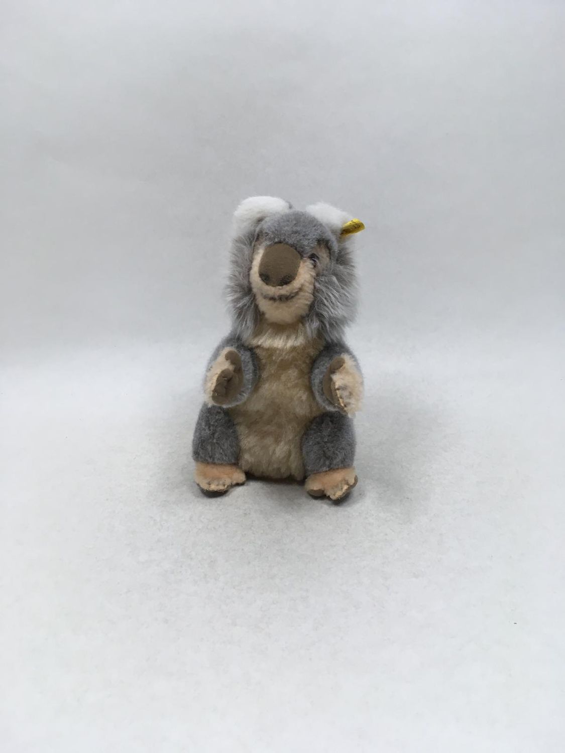 Steiff Koala Molly 0331/22 mit Knopf und Fahne stehend 22 cm Sammlerstück