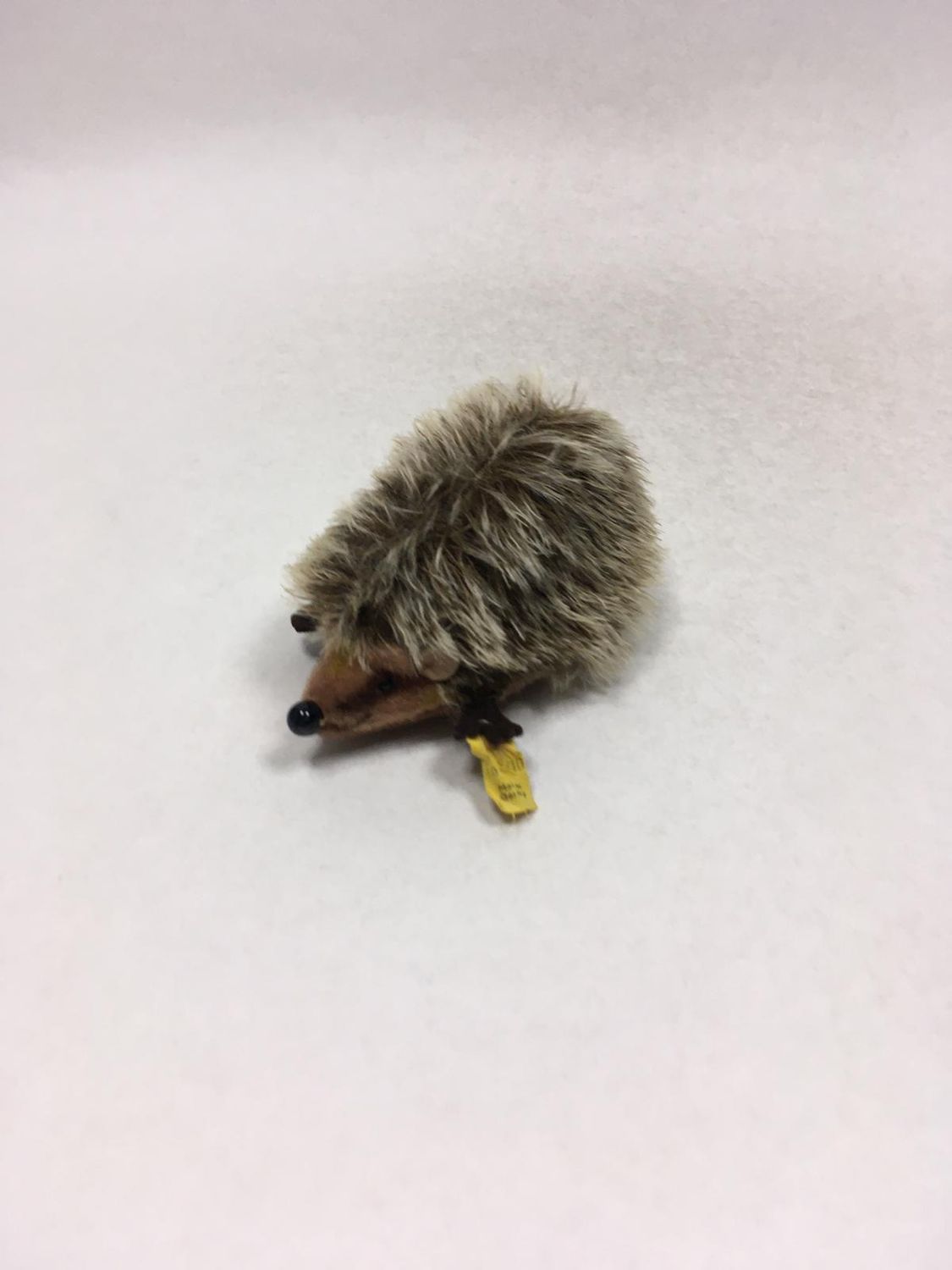 Steiff Igel Joggi mit Knopf und Fahne ( Nummer nicht lesbar ) liegend 12 cm Vintage Sammlerstück