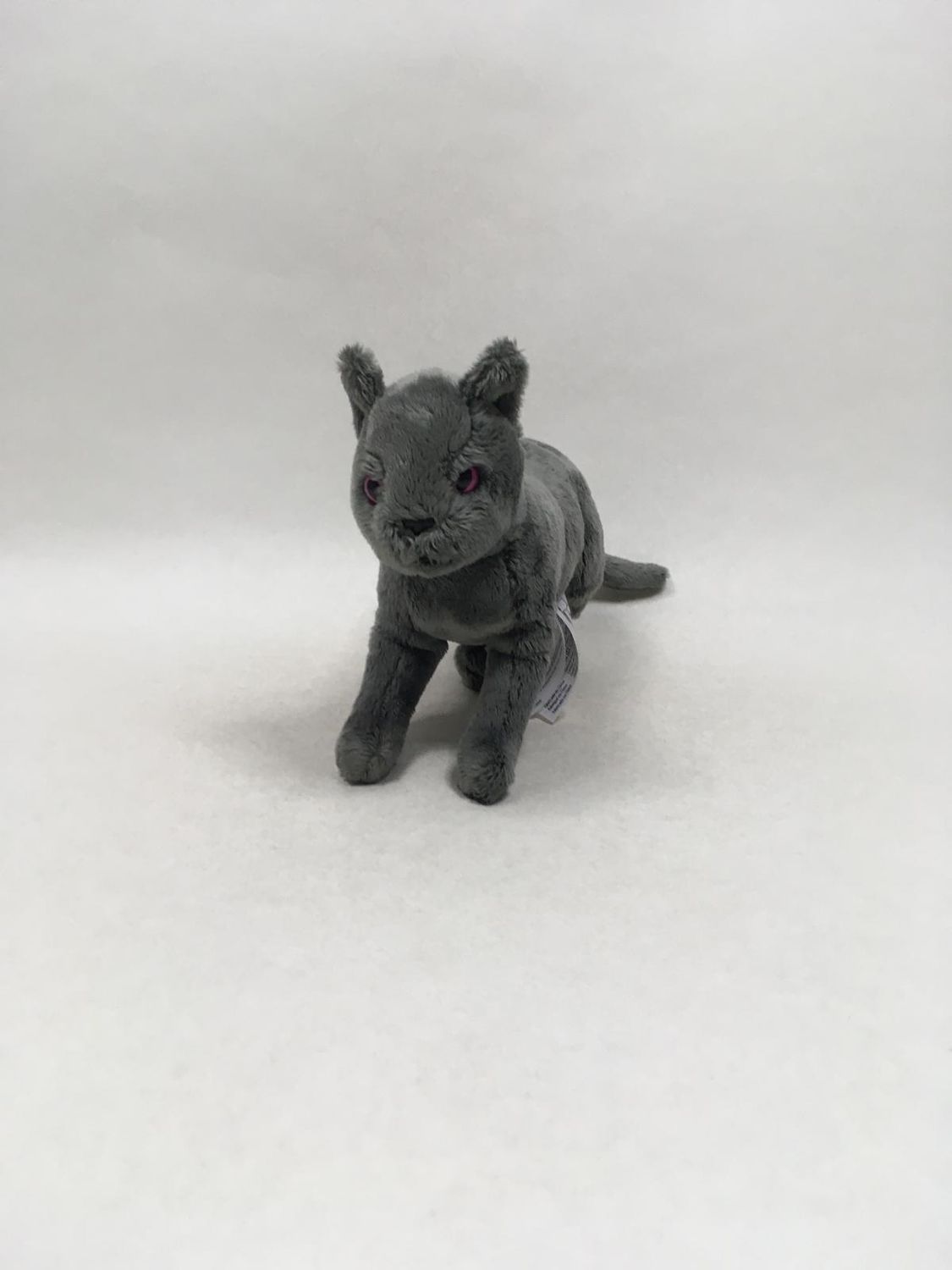 Katze Karajan Die Schule der magischen Tiere TCC stehend 38 cm Mega Sammlerstück