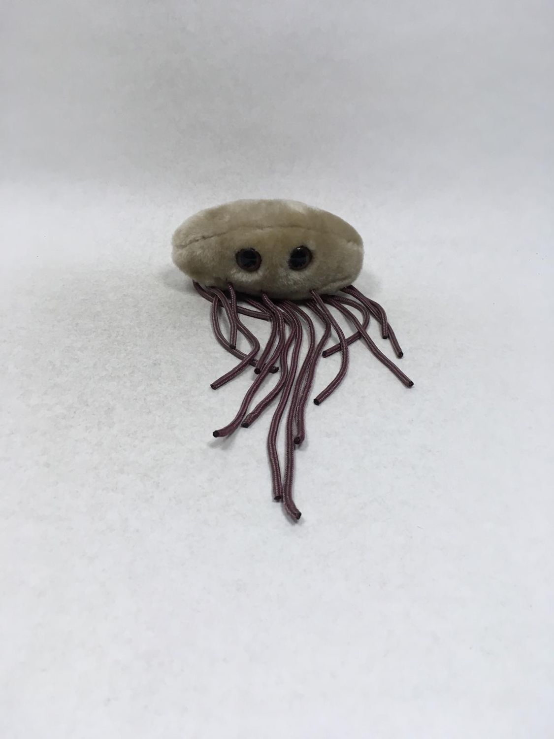 E.Coli Giant Microbes liegend 30 cm selten