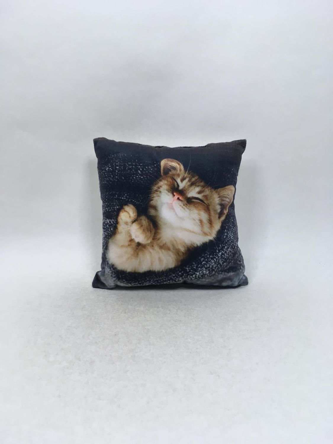 Deko Kissen Katze Knuffel stehend 22*22 cm selten