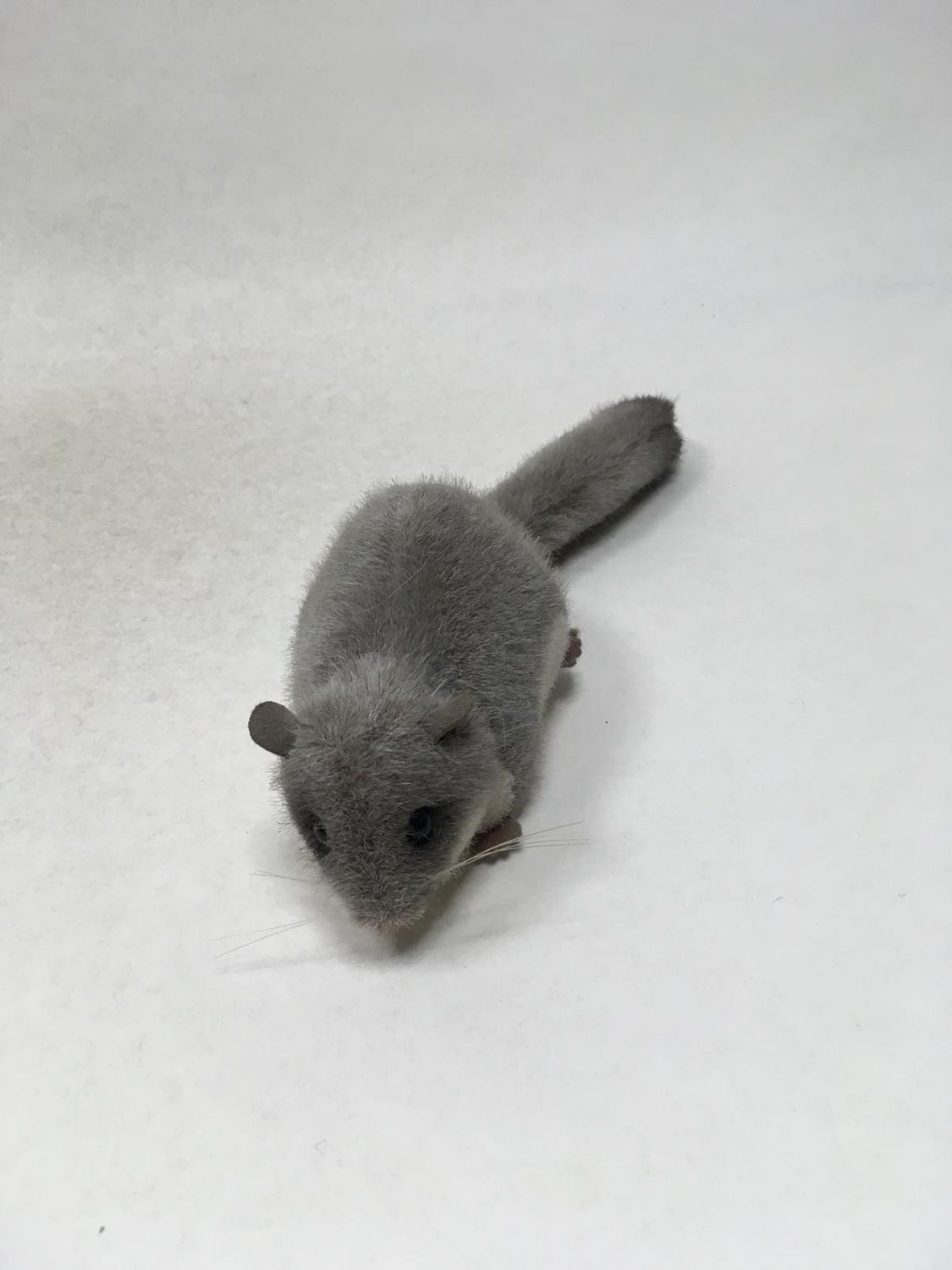 Siebenschläfer Kösen liegend 25 cm Sammlerstück