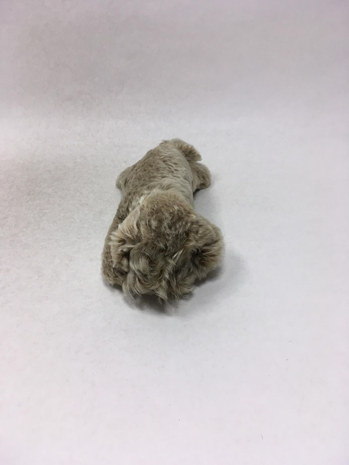 Steiff Hund Floppy Raudi 5637/17 aus Mohair mit Knopf und Fahne liegend 20 cm Mega Rarität