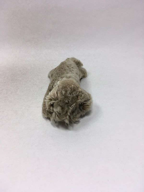 Steiff Hund Floppy Raudi 5637/17 aus Mohair mit Knopf und Fahne liegend 20 cm Mega Rarität