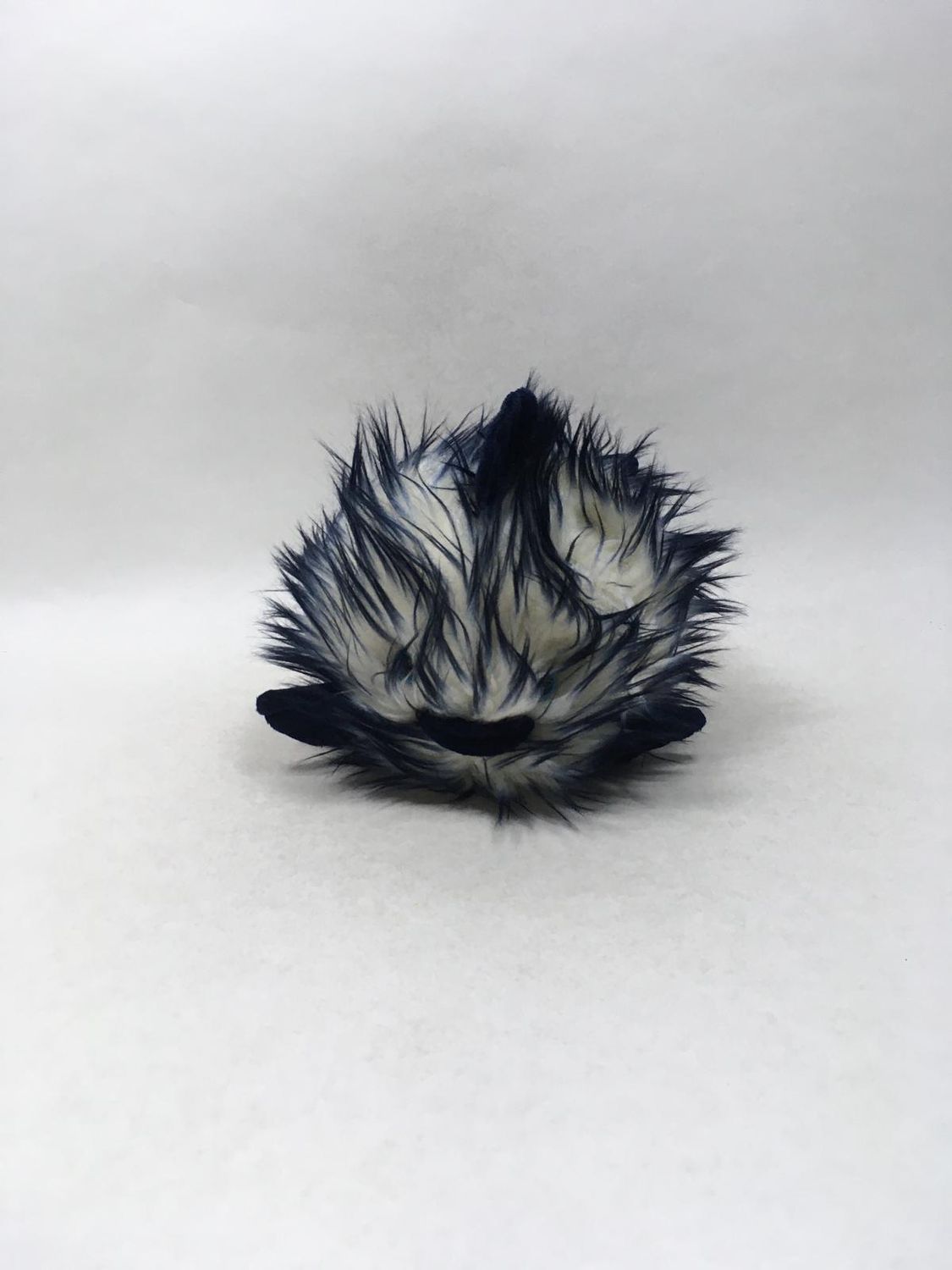 Kugelfisch Sunkid liegend 22 cm selten