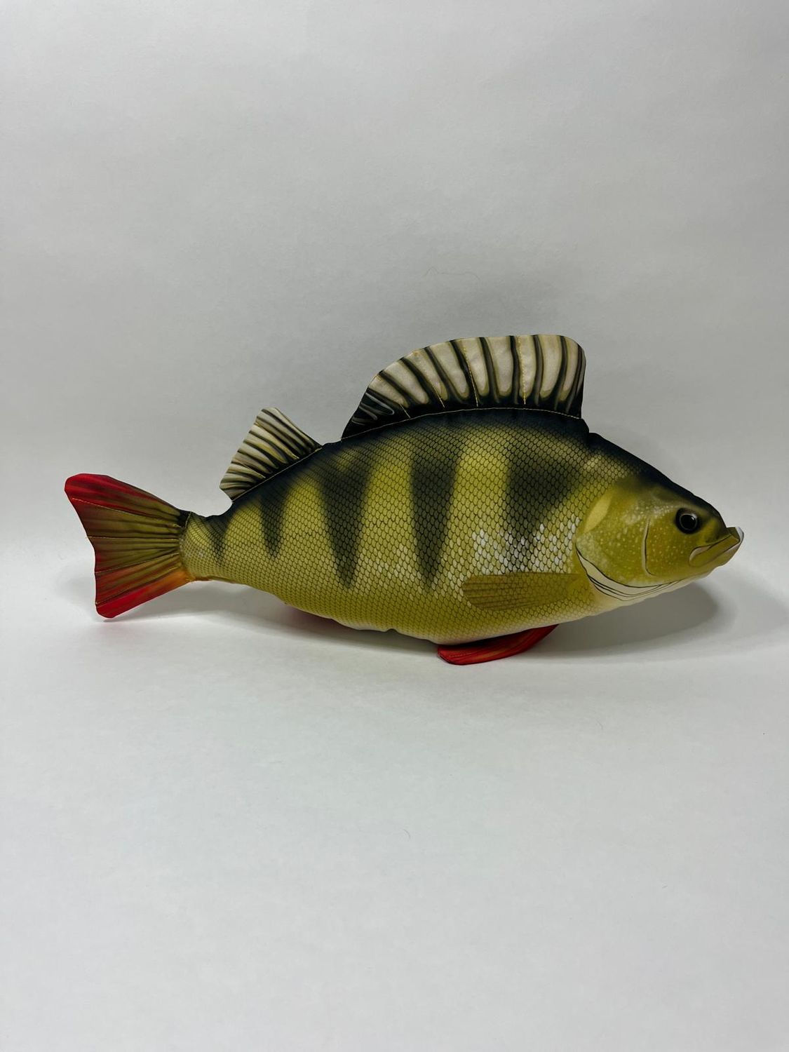 Fisch Gaby Barsch liegend 50 cm sehr selten