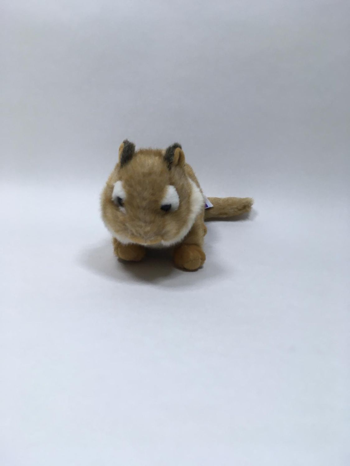 Murmeltier Kuschelwuschel liegend 35 cm selten