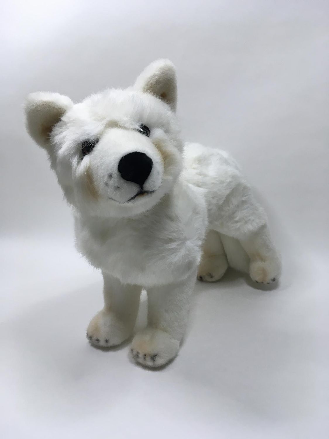 Steiff Polarfuchs mit Knopf stehend 70 cm 1,015 kg Rarität und Mega Sammlerstück