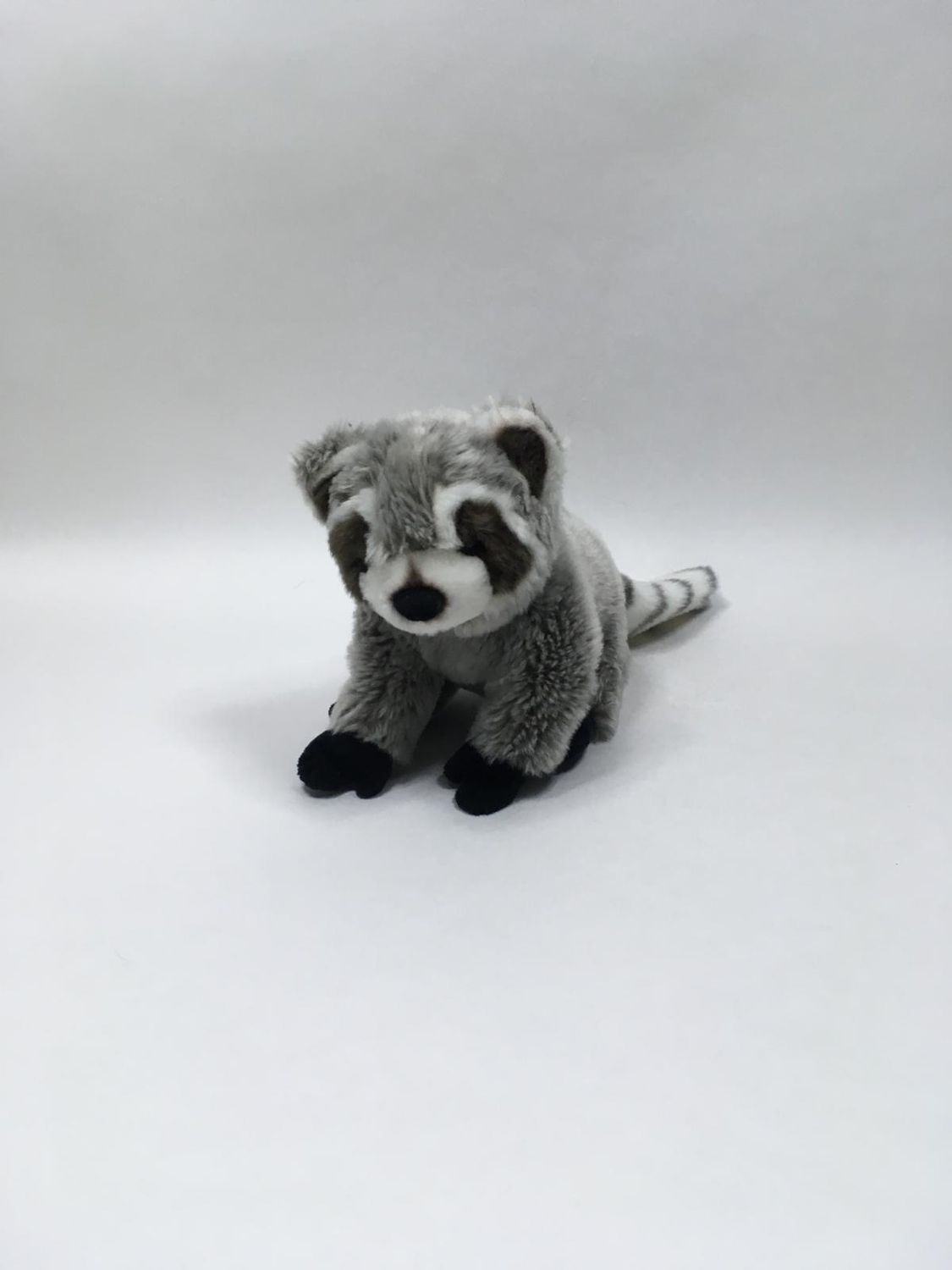 Waschbär Nature Planet sitzend 20 cm Sammlerstück