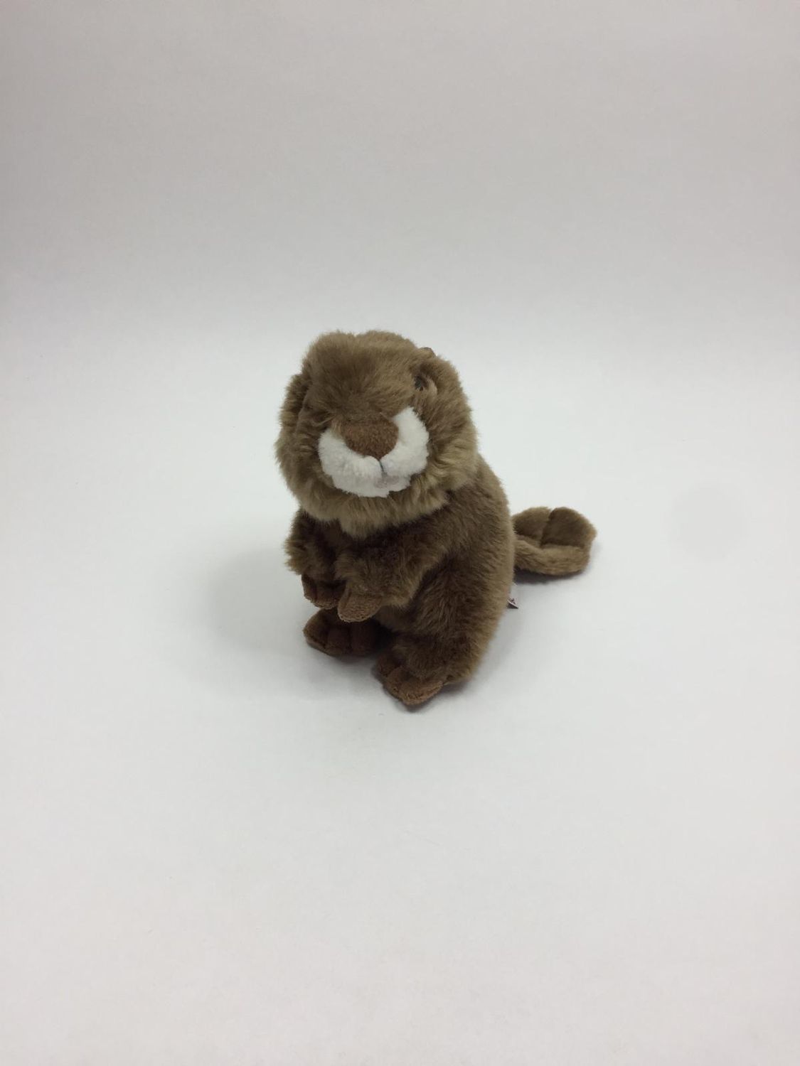 Biber Pelux i Coccoli stehend 18 cm Rarität