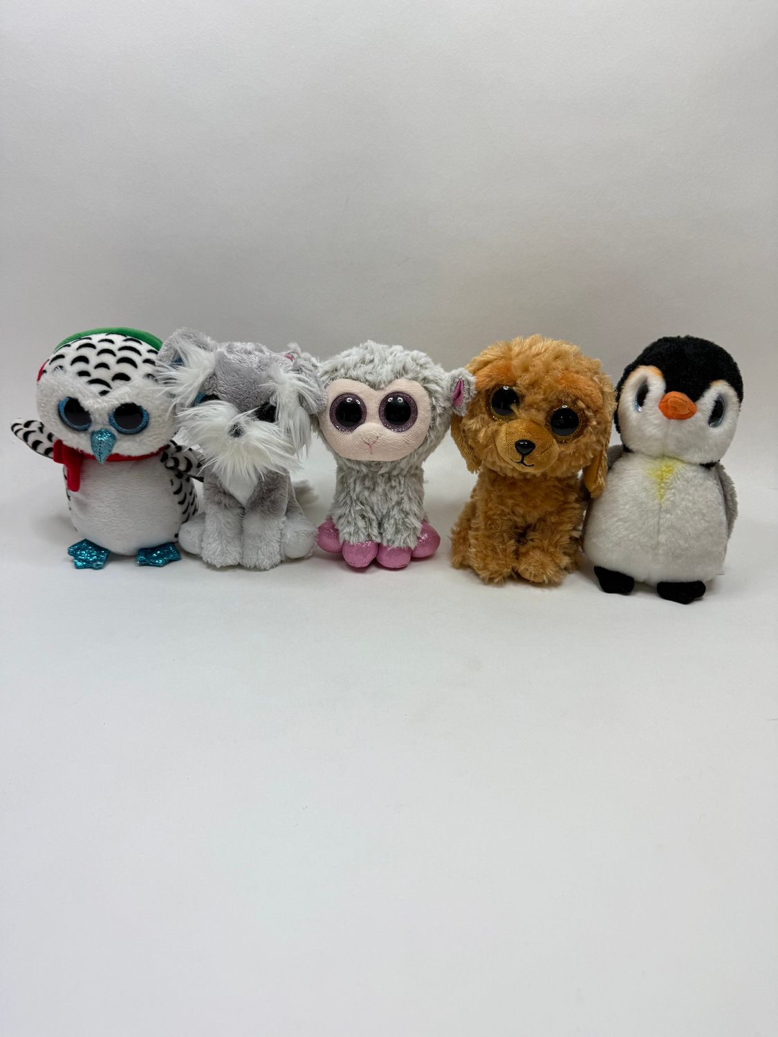 TY Plüsch-Wundertüte - 5 Stück im Paket