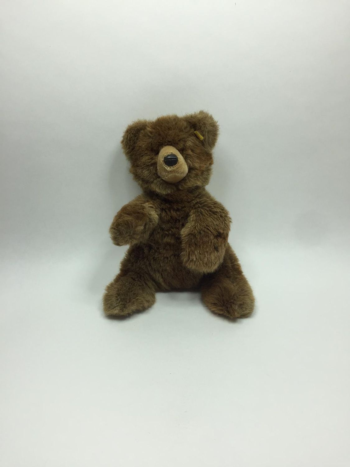 Steiff Teddy Molly 0330/32 mit Knopf und Fahne stehend 38 cm Sammlerstück