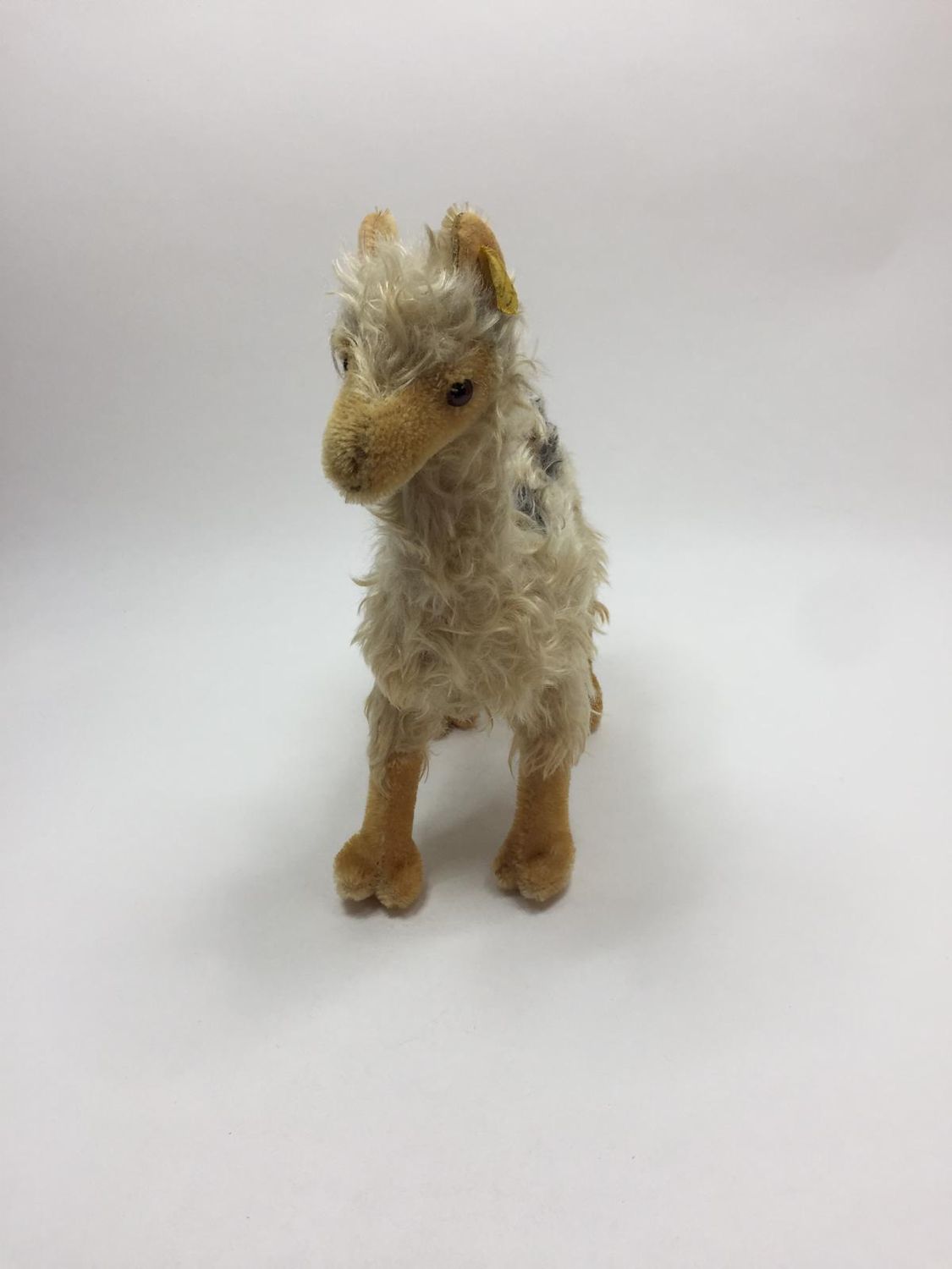 Steiff Lama mit Knopf und Fahne ( nicht lesbar ) stehend 28 cm Vintage Sammlerstück