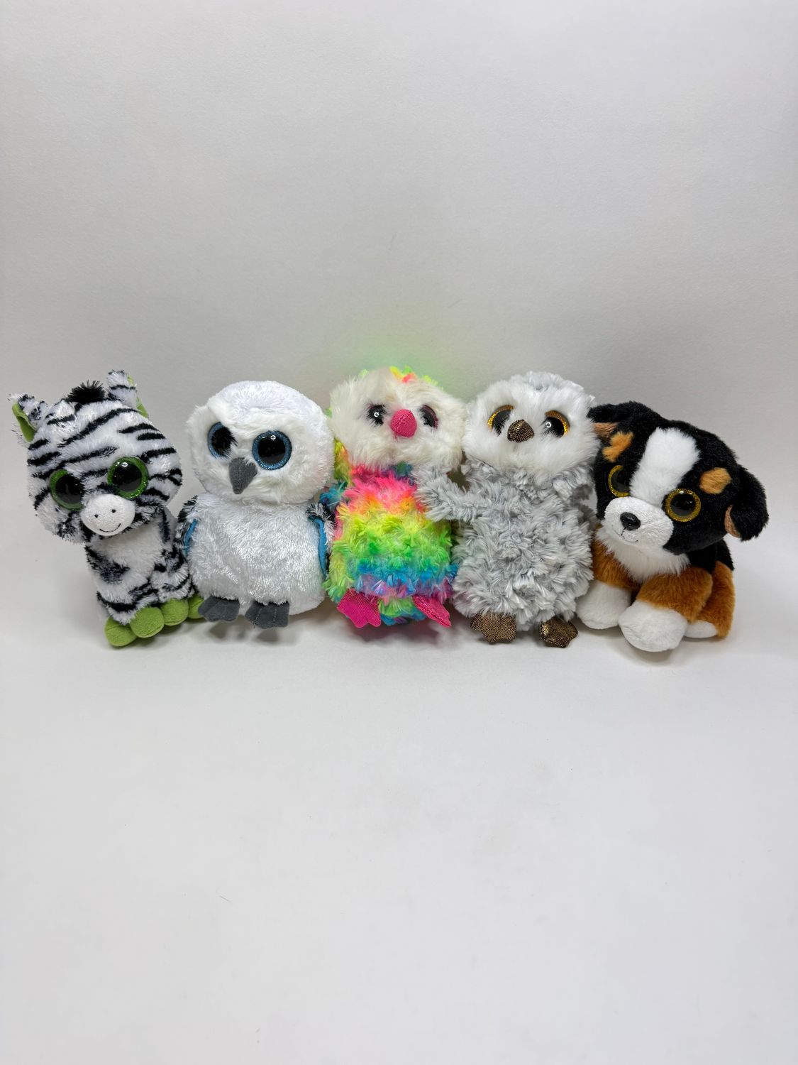 TY Plüsch-Wundertüte - 5 Stück im Paket