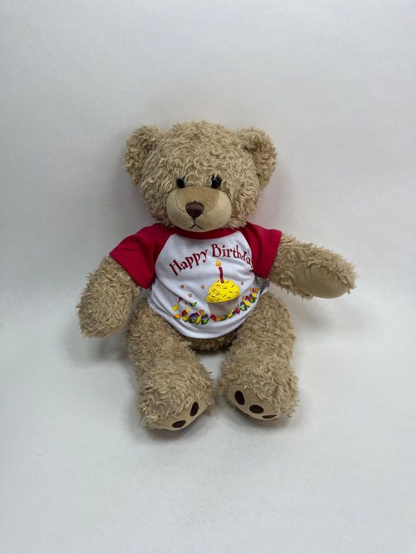 Teddy Build a Bear stehend 40 cm Sammlerstück