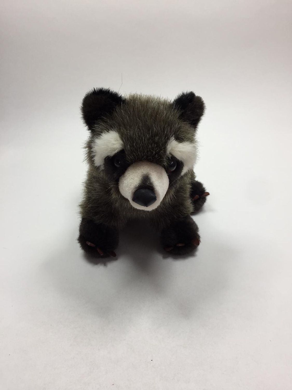 Waschbär Bauer stehend 25 cm sehr selten