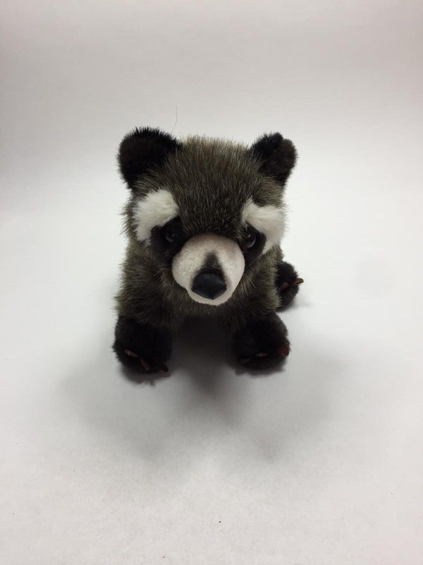 Waschbär Bauer stehend 25 cm sehr selten