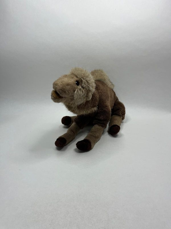 Kamel Sigikid stehend 60 cm Rarität und Sammlerstück