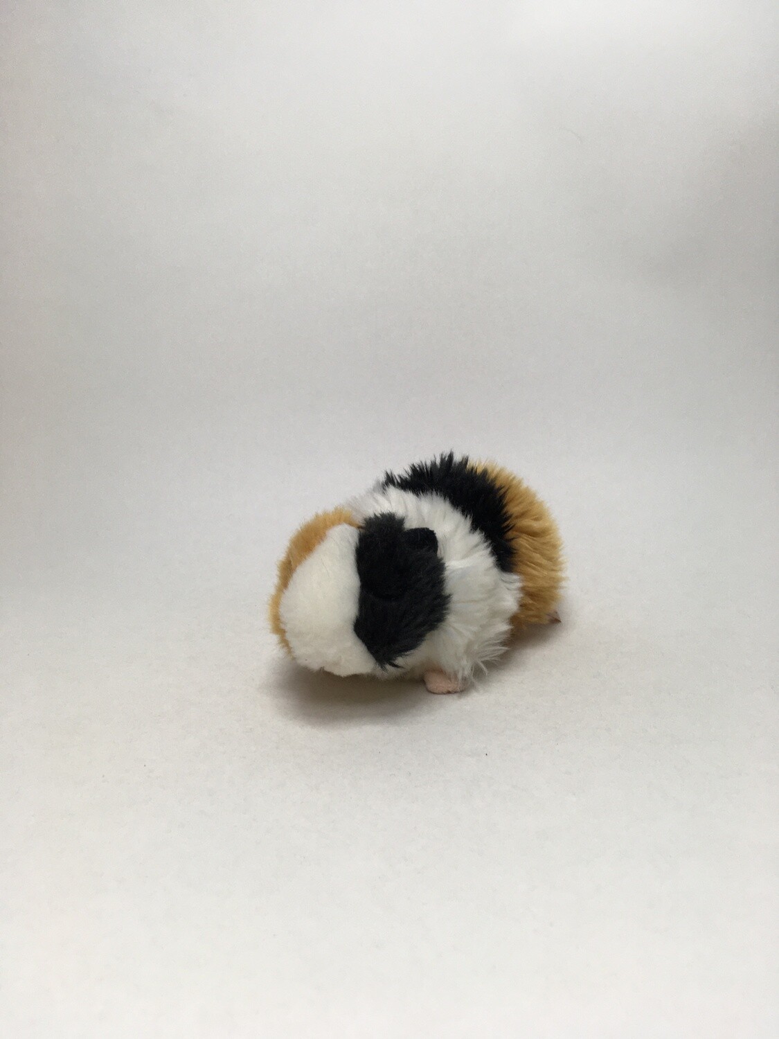 Meerschweinchen Teddy Hermann liegend 20cm selten