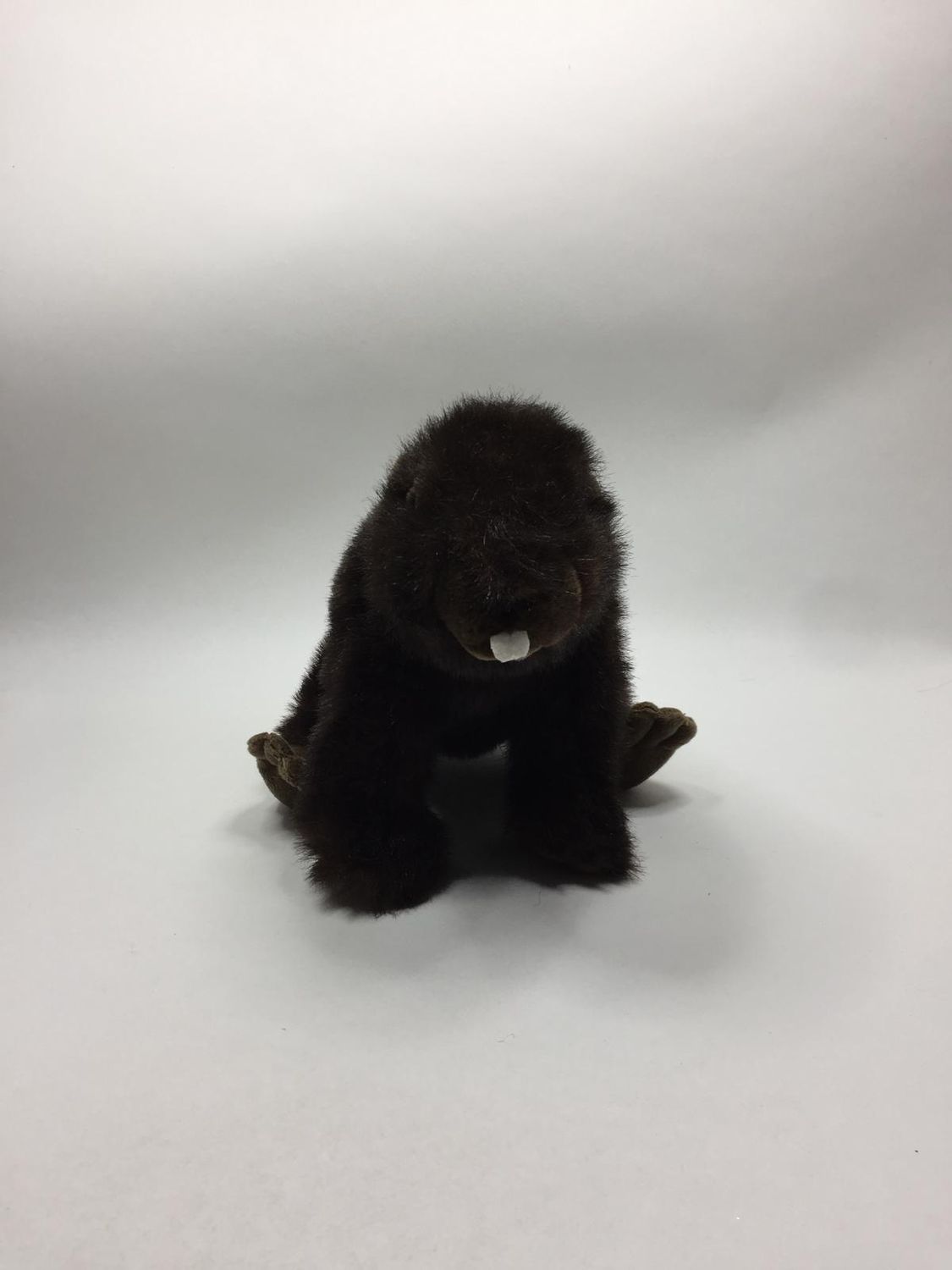 Biber Wild Republic sitzend 33 cm selten