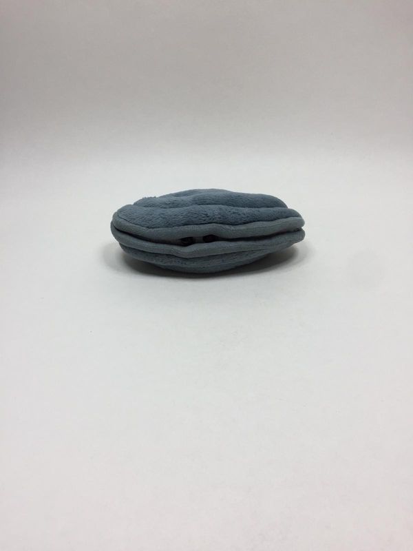 Krake, Krebs, Tintenfisch, Oktopus, Hummer, Muschel "Marcus Mussel" Jellycat liegend 20 cm Mega Sammlerstück