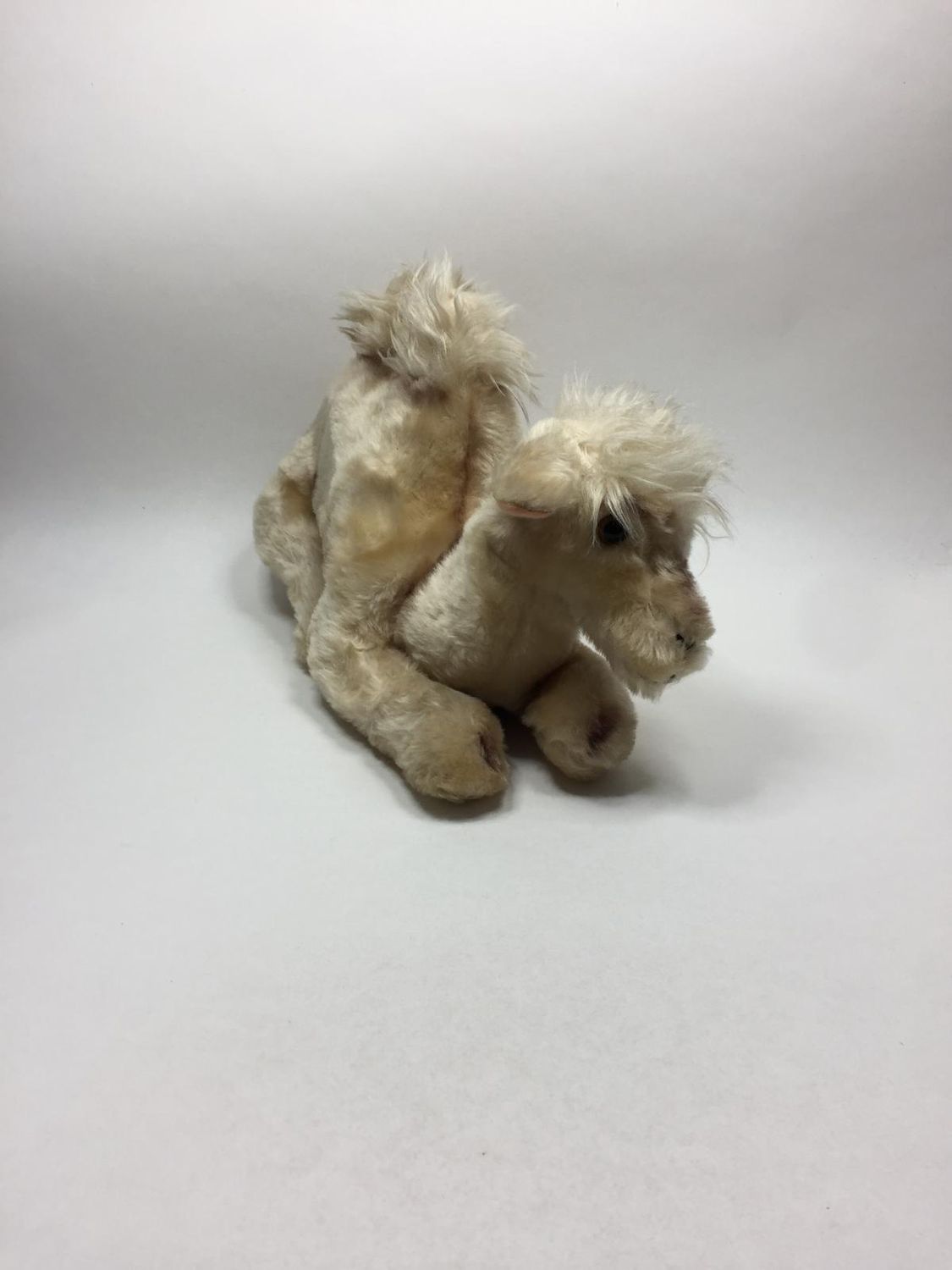 Kamel XL Knuffel liegend 60 cm sehr selten