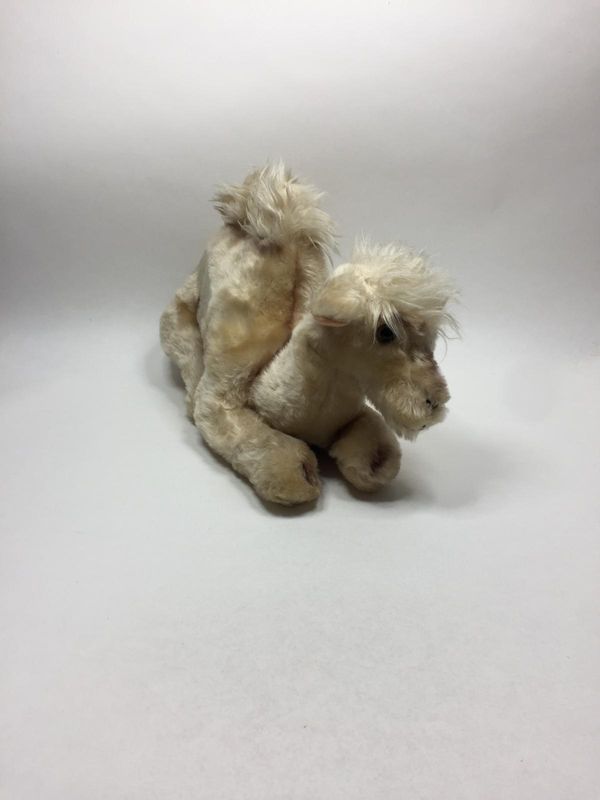 Kamel XL Knuffel liegend 60 cm sehr selten