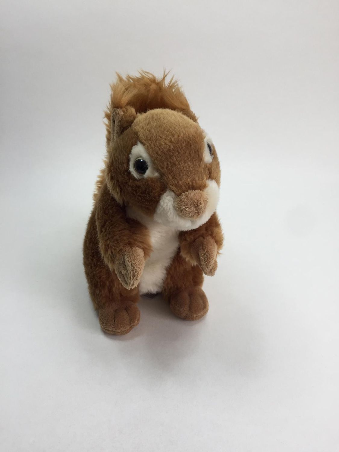 Eichhörnchen Sunkid stehend 25 cm selten