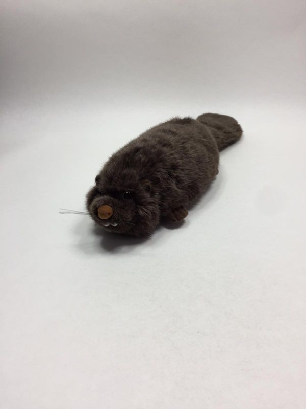 Biber Knuffel liegend 55 cm selten Biber Knuffel liegend 55 cm selten