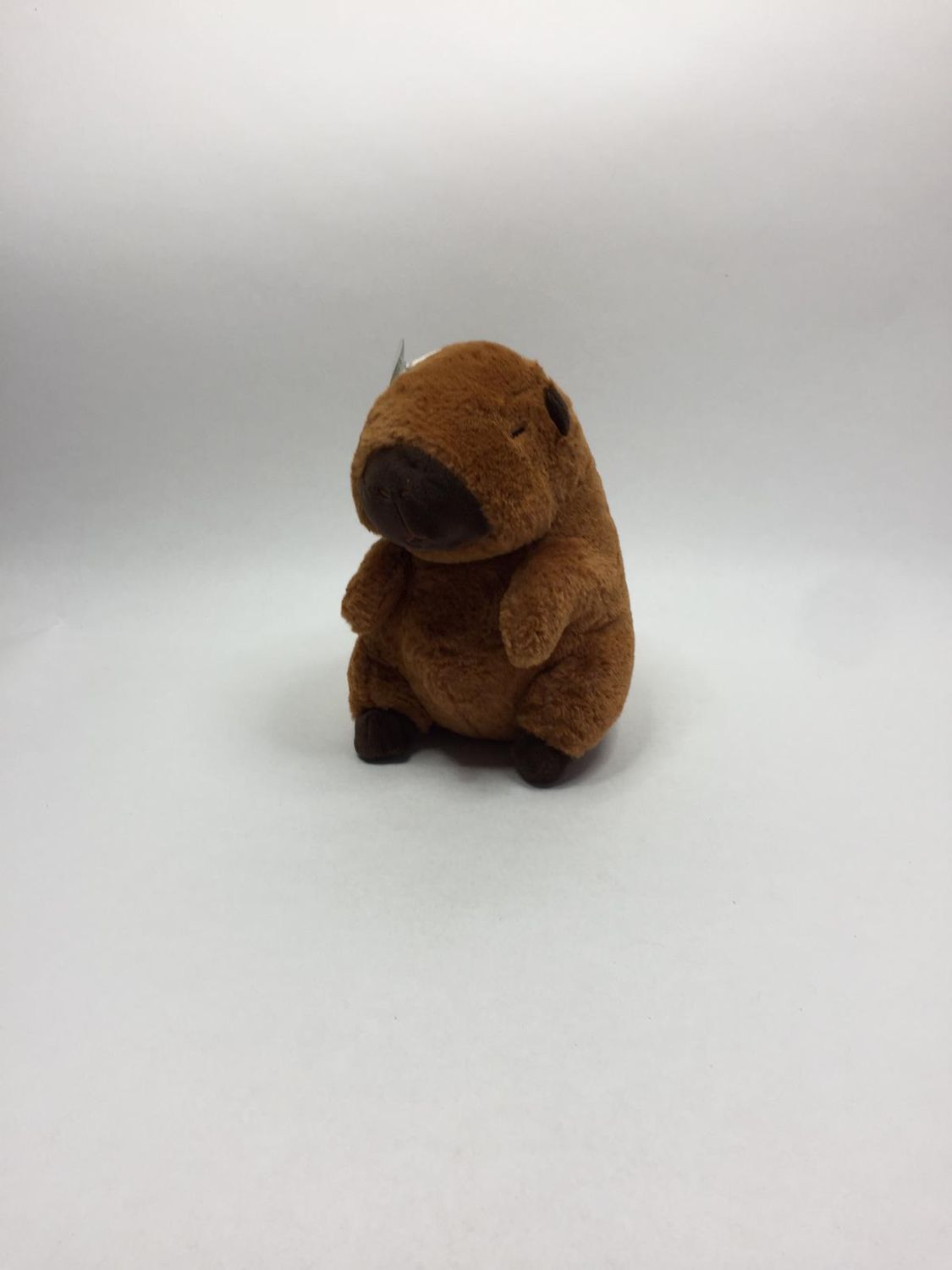 Schwein Wasserschwein Capybara Knuffel stehend 23 cm Sammlerstück