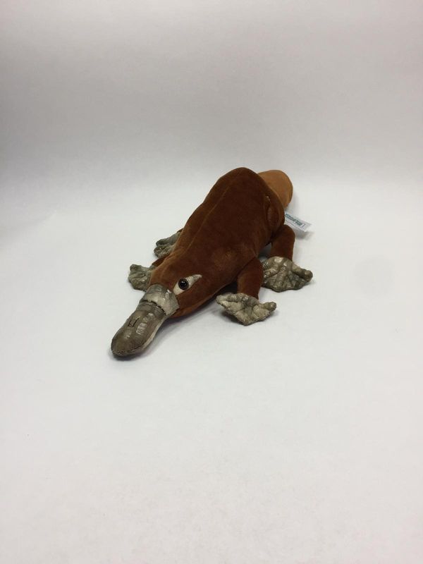 Schnabeltier Wild Planet liegend 43 cm Mega Sammlerstück