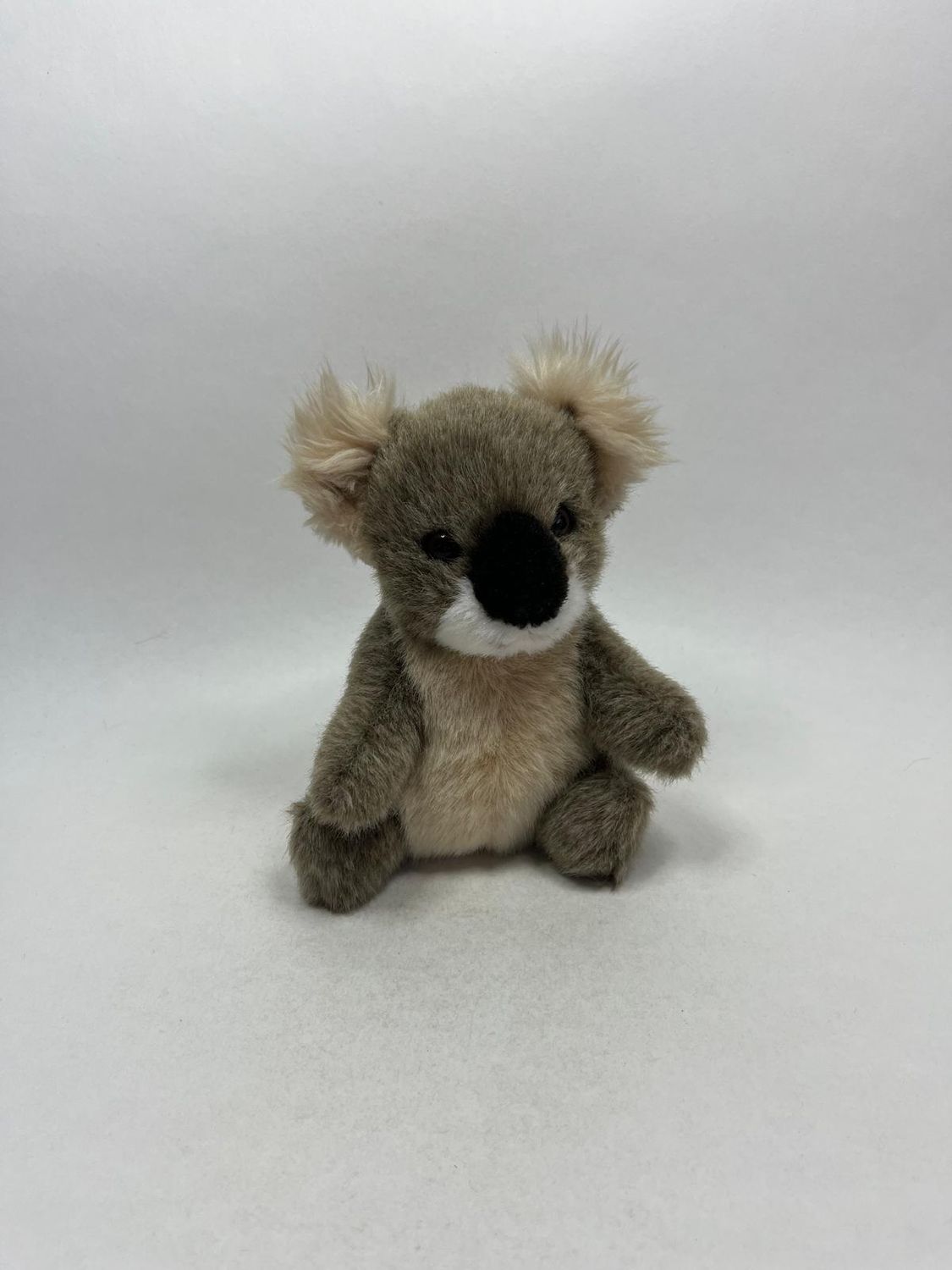 Koala Schildkröt stehend 20 cm Rarität