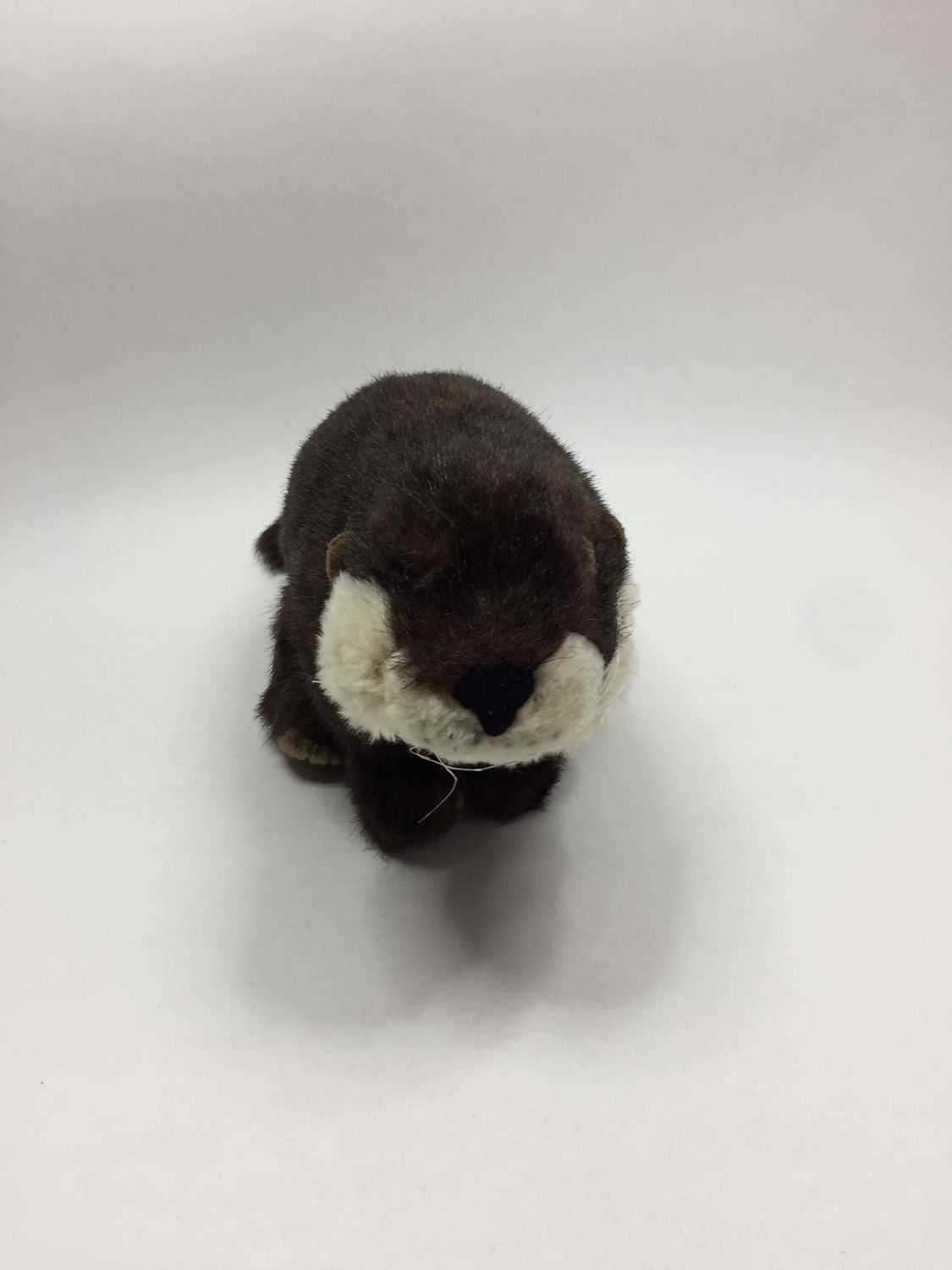 Otter K&amp;M Intel stehend 45 cm sehr selten