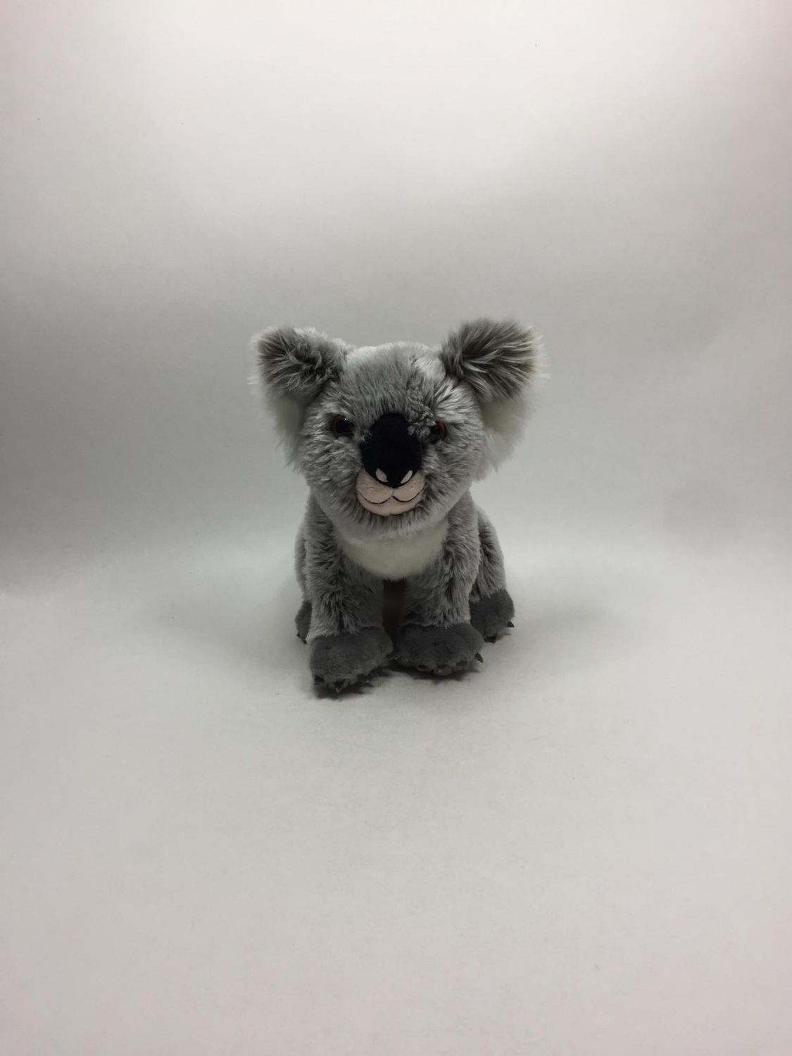 Koala Galeria sitzend 25 cm Sammlerstück