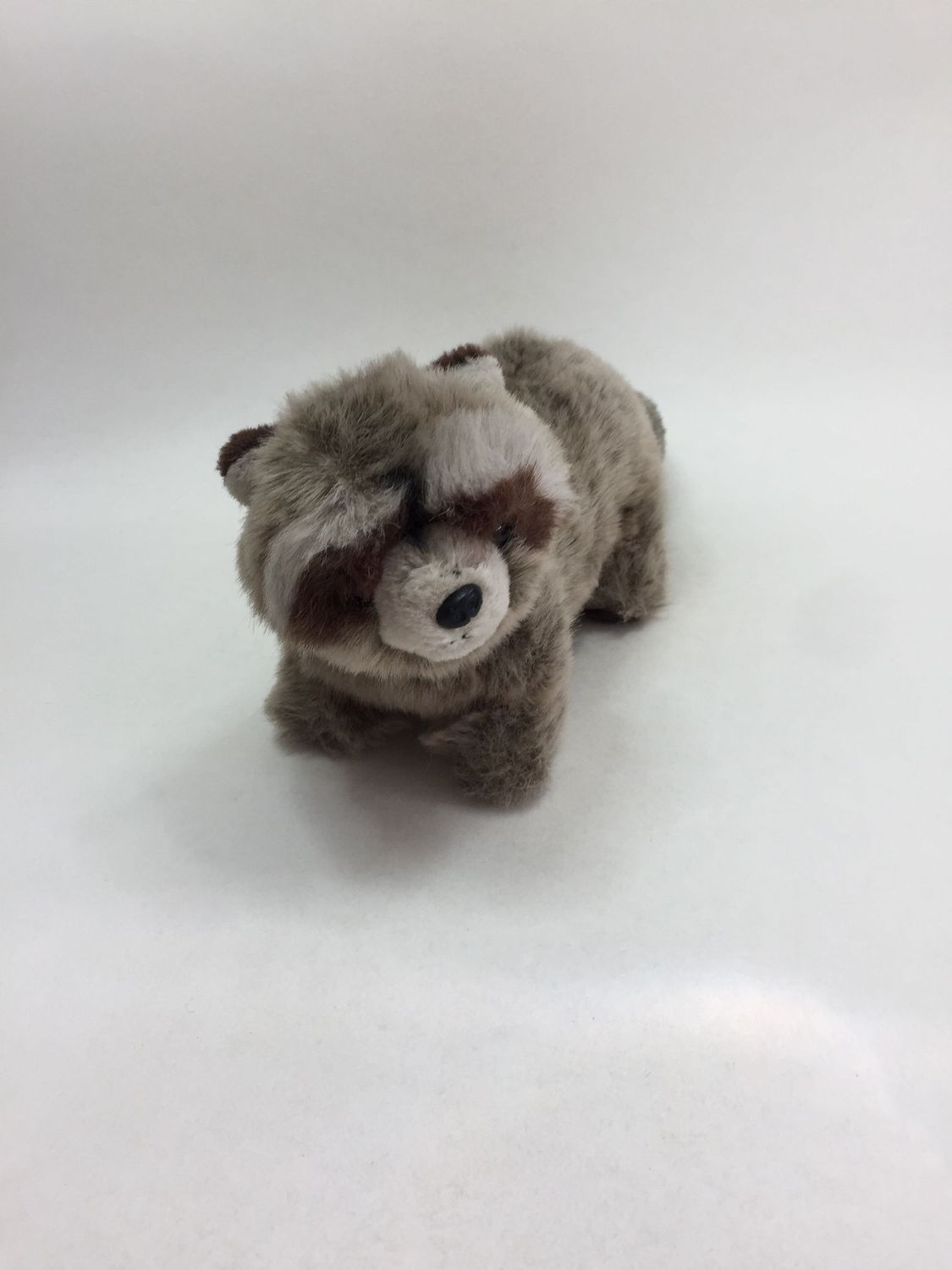 Waschbär Gund liegend 38 cm selten