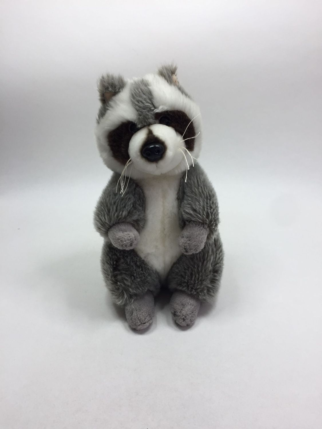 Waschbär Paul Import stehend 28 cm selten