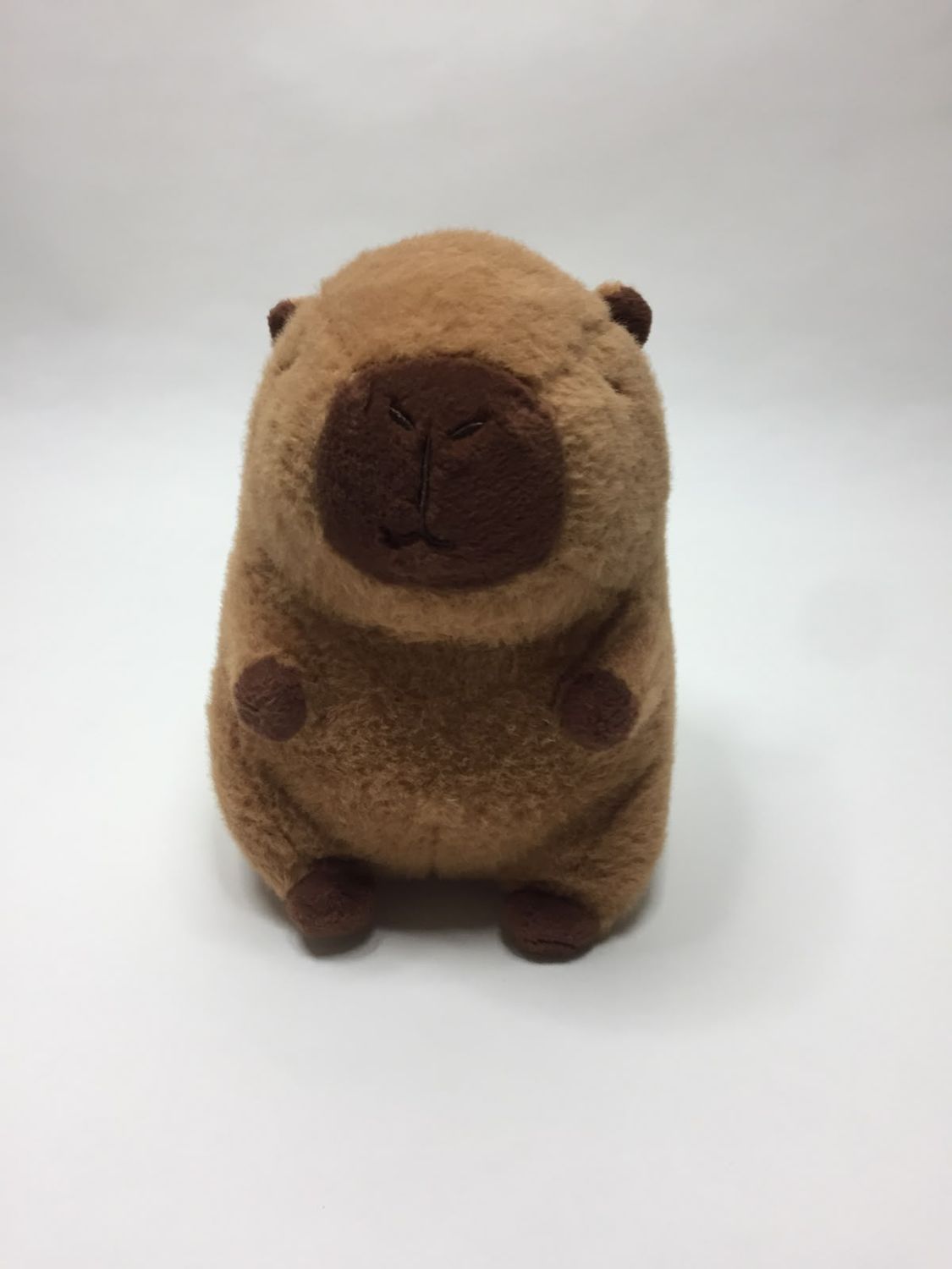 Schwein Wasserschwein Capybara Knuffel stehend 23 cm Sammlerstück