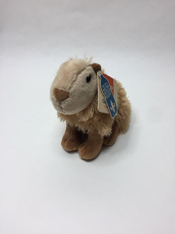Schwein Wasserschwein Capybara Wild Republic sitzend 18 cm Sammlerstück Neuwertig mit Etikett